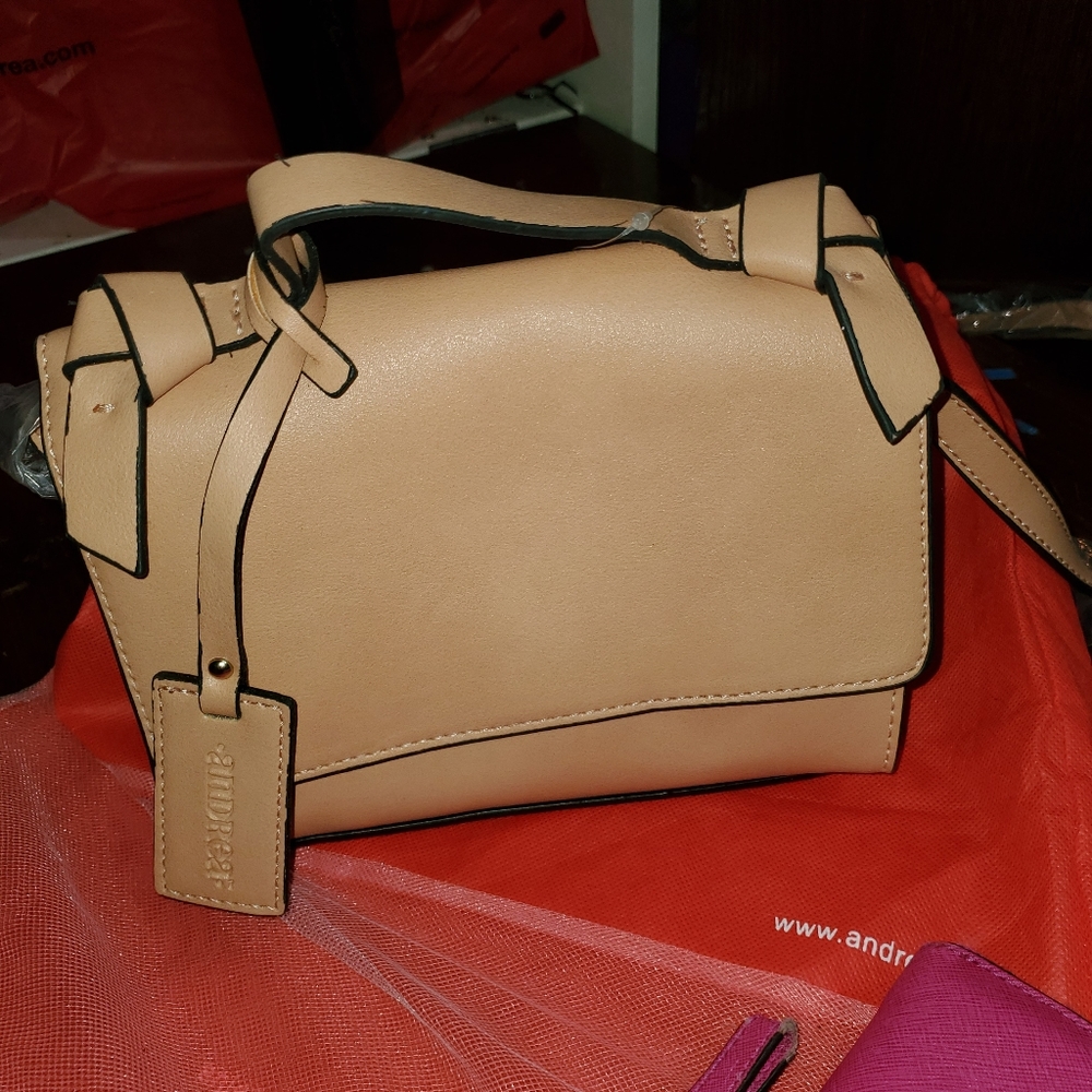 Andrea crossbody small purse